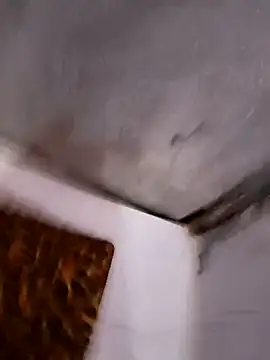 Snapshot of hardyyy9096 chatting on March 2026 08:26:01 AM hardyyy9096 online show from March 2026 08:26:01 AM