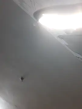 ShellBixAngeLL online show from April 2026 05:54:01 PM