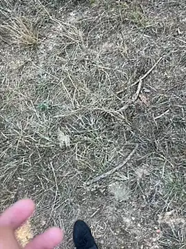 Snapshot of yingzi003 chatting on April 2026 07:42:01 AM yingzi003 online show from April 2026 07:42:01 AM