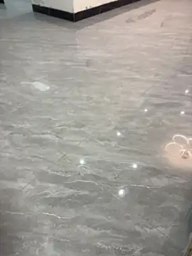 Snapshot of yingzi003 chatting on April 2026 12:54:02 PM yingzi003 online show from April 2026 12:54:02 PM