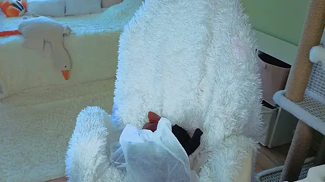 Regina Noire online show from April 2026 10:31:01 AM