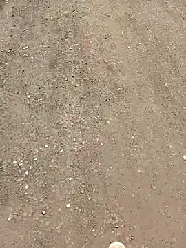 minauu s online show from April 2026 05:00:01 PM