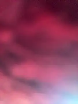 eu elisa online show from April 2026 05:32:01 PM