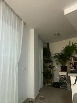 zensorial online show from April 2026 08:11:01 PM