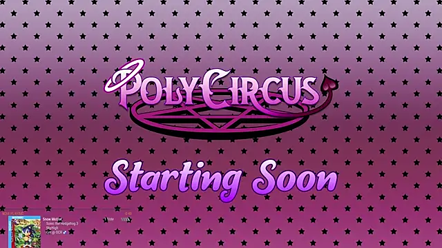 Snapshot of PolyCircus chatting on April 2026 03:46:02 AM PolyCircus online show from April 2026 03:46:02 AM