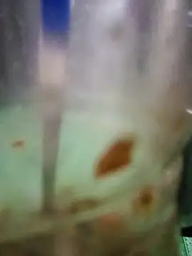 roc321 online show from April 2026 11:37:01 AM