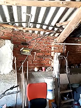 Snapshot of mecaloco chatting on April 2026 11:29:01 AM mecaloco online show from April 2026 11:29:01 AM