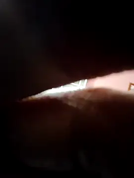 Snapshot of doggy69-dog chatting on April 2026 09:28:02 AM doggy69-dog online show from April 2026 09:28:02 AM