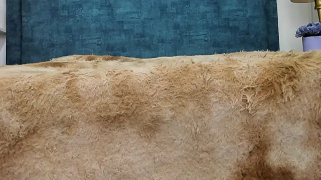 IsadoraVex online show from April 2026 12:44:02 PM