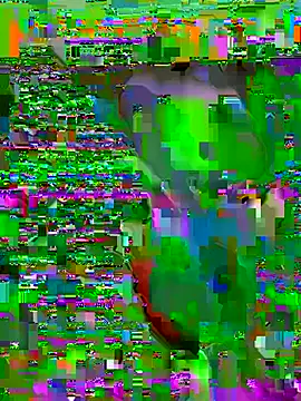 mister wolf online show from July 2026 10:54:01 AM