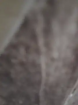 Snapshot of sk022 chatting on April 2026 06:26:01 PM sk022 online show from April 2026 06:26:01 PM