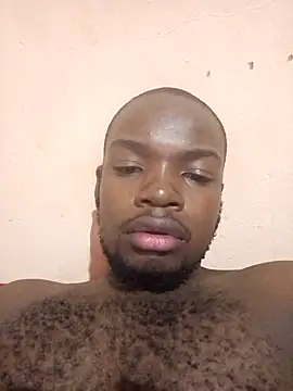 Veewise online show from April 2026 11:50:01 PM