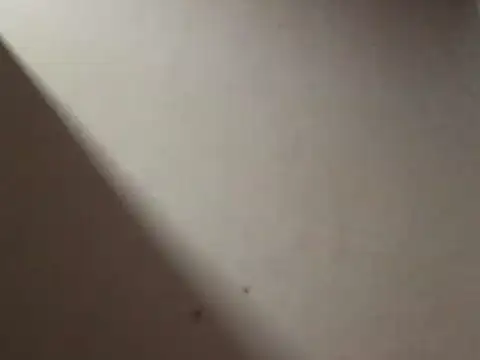 SL Uma online show from April 2026 07:05:02 PM