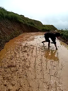 LucyBri01 online show from April 2026 02:04:01 AM