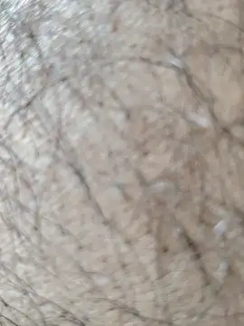 Virat75559 online show from April 2026 07:47:02 AM