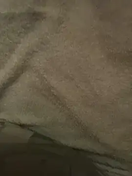 maicol e online show from April 2026 08:55:02 PM