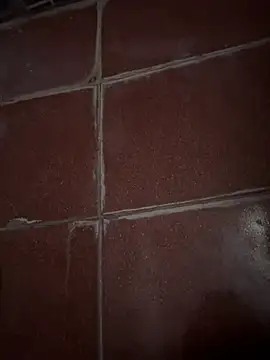 BBCHORNEYDADDY online show from April 2026 07:28:01 AM