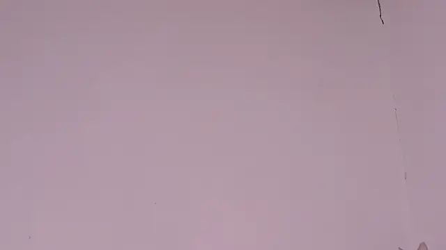 MayGibsson online show from August 2026 12:29:02 PM