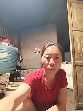 Jinli 01 online show from May 2026 09:49:02 PM