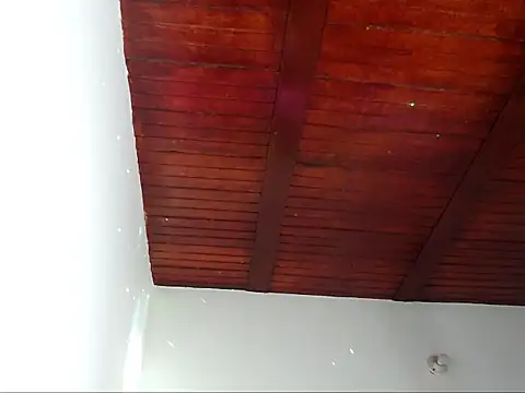 Valery Salmons online show from May 2026 03:39:01 PM