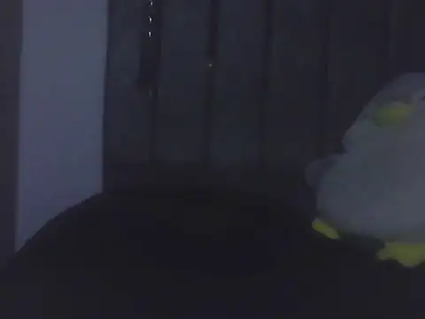 Gnnnnnn000 online show from June 2026 12:44:01 AM