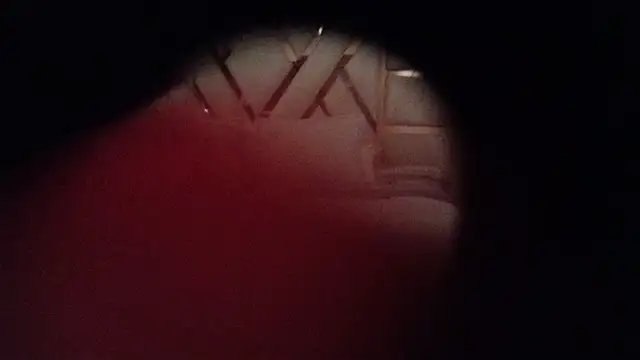 Snapshot of kellygrace_vg chatting on June 2026 03:01:02 AM kellygrace vg online show from June 2026 03:01:02 AM