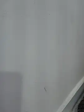 Snapshot of Nimmy_0 chatting on June 2026 07:47:01 PM Nimmy 0 online show from June 2026 07:47:01 PM