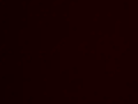 Leeszim26 online show from June 2026 12:05:02 AM