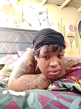 BINSA35 online show from June 2026 06:34:01 AM