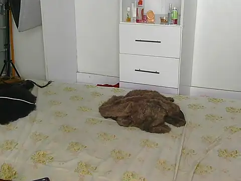 Snapshot of SexyLi_ chatting on July 2026 02:21:02 AM SexyLi online show from July 2026 02:21:02 AM
