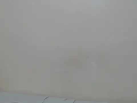 lewinne online show from July 2026 09:08:02 PM