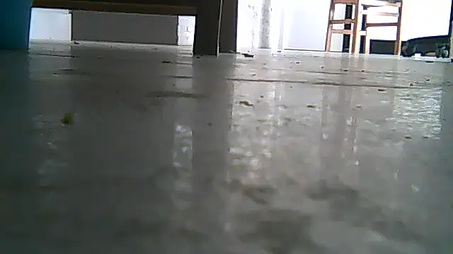 SirFrankonde online show from August 2026 12:48:02 PM