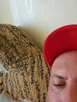 heterohotguy78 online show from July 2026 10:46:02 AM