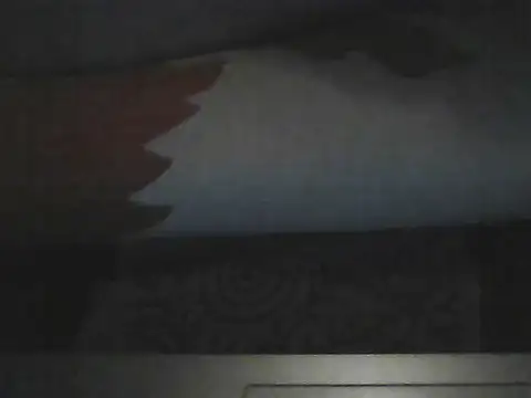 butterflywngs online show from July 2026 06:54:01 PM