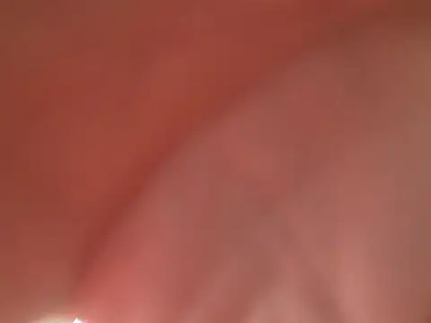 el principe hot online show from November 2025 07:58:01 PM