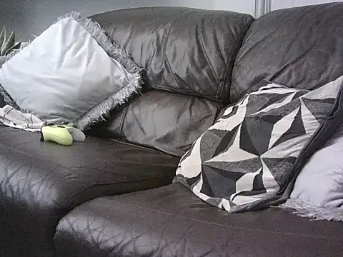 Snapshot of handyandyhandy chatting on July 2026 03:49:02 PM handyandyhandy online show from July 2026 03:49:02 PM