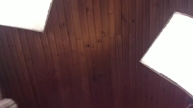 coraline latin online show from February 2025 01:00:01 AM