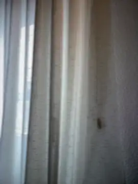 Snapshot of Chic_desire chatting on March 2026 10:09:02 AM Chic desire online show from March 2026 10:09:02 AM