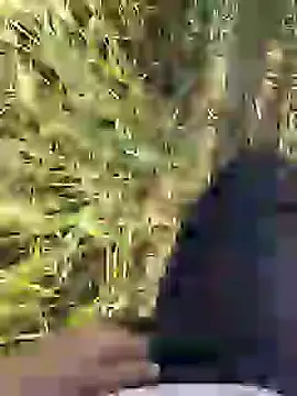 ThethunderPo online show from March 2025 02:36:02 AM