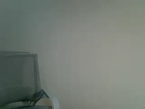 Snapshot of DitaVira chatting on December 2024 08:28:02 PM DitaVira online show from December 2024 08:28:02 PM