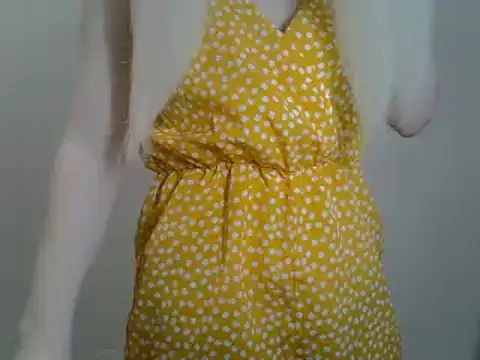 Snapshot of DitaVira chatting on January 2025 12:43:02 PM DitaVira online show from January 2025 12:43:02 PM