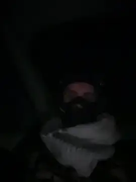 rusharizona online show from January 2025 02:00:02 AM