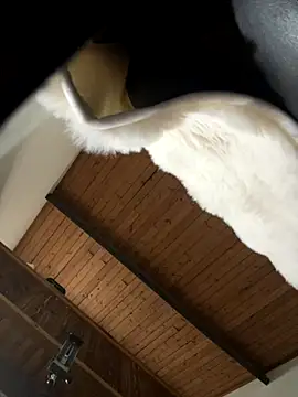 Snapshot of odbodu chatting on November 2025 08:52:01 PM odbodu online show from November 2025 08:52:01 PM