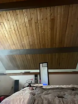 Snapshot of odbodu chatting on November 2025 08:58:01 AM odbodu online show from November 2025 08:58:01 AM