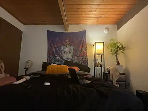 odbodu online show from February 2026 03:24:02 AM