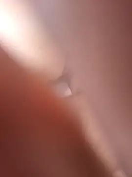 Bull8 online show from April 2026 08:24:01 AM