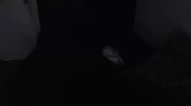 Snapshot of Chanelsexyy chatting on March 2025 08:43:02 PM Chanelsexyy online show from March 2025 08:43:02 PM