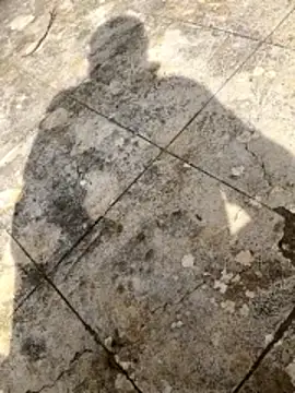 curcuro online show from March 2026 10:50:02 AM