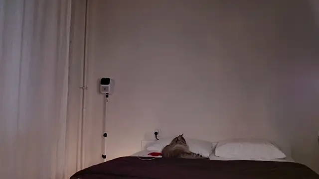 Milky   Way online show from October 2025 03:10:02 PM