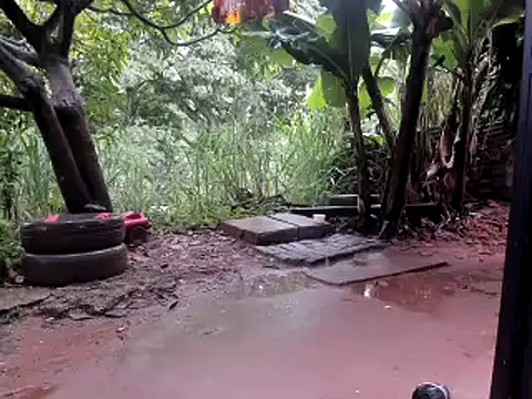 venusandzeusxh online show from October 2025 01:01:01 PM